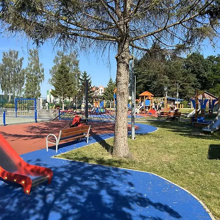 Koralowiec * أوستكا